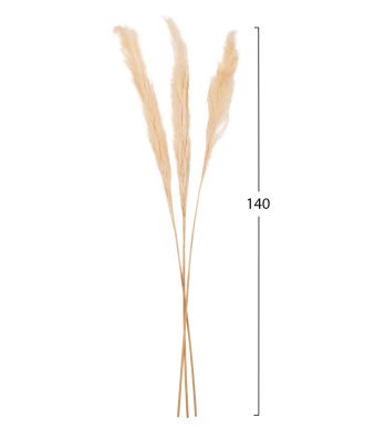 diakosmitiko-mpoyketo-apoxiramena-kalami-1