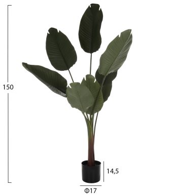 diakosmitiko-synthetiko-fyto-fb97982-str-1