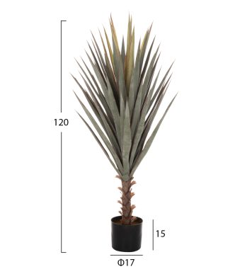diacosmitiko-synthetiko-phyto-fb97987-sis-1 diakosmitiko-synthetiko-fyto-fb97987-sis-1
