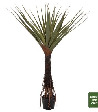 diacosmitiko-synthetiko-phyto-fb97988-den diakosmitiko-synthetiko-fyto-fb97988-den