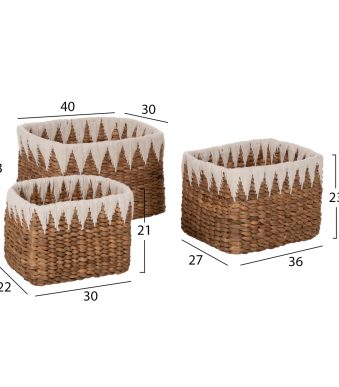 kalathia-psathina-tetragona-fb94296-set-1