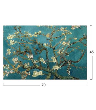 pinakas-kambas-almond-tree-fb9719303-70x-1