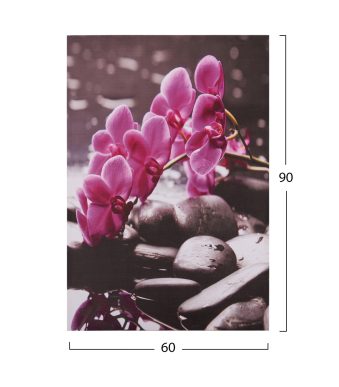 pinakas-kambas-pink-orchid-hm715412-60x9-1