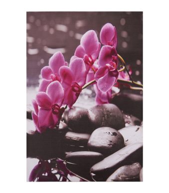 pinakas-kambas-pink-orchid-hm715412-60x9