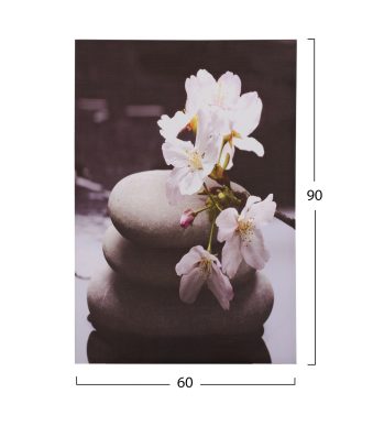 pinakas-kambas-white-orchid-hm715411-60x-1