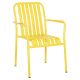 polythrona-aloyminioy-fb9608806-kitrini-
