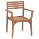 polythrona-exotchoroy-fb918129-xylo-teak