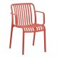 polythrona-exotchoroy-fb9610505-kokkino-