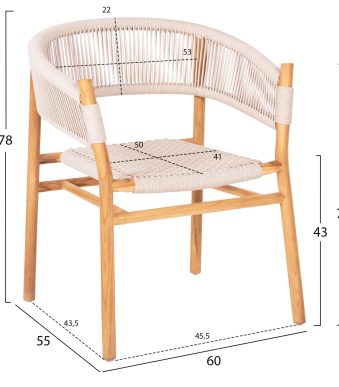 polythrona-fb99763-xylo-teak-se-fysiko-c-1 polythrona-fb99763-xylo-teak-se-fysiko-c-1