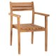 polythrona-xylo-teak-stoibazomeni-fb9953