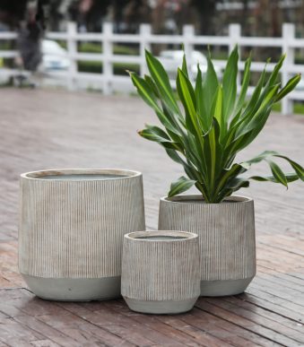set-3tmch-glastres-stroggyles-fb94724-fi-1