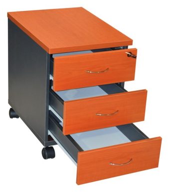 syrtariera-grafeioy-epaggelmatiki-hm2011-1 syrtariera-grafeioy-epaggelmatiki-hm2011-1