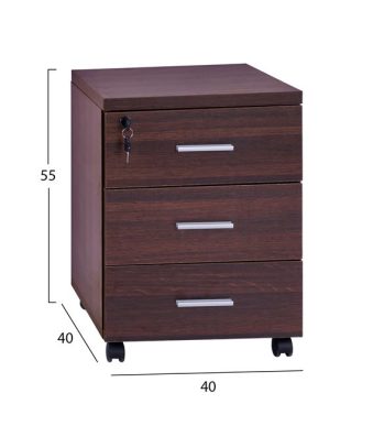 syrtariera-grafeioy-epaggelmatiki-wenge-1