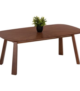 trapezi-salonioy-fb99737-mdf-se-karydi-c